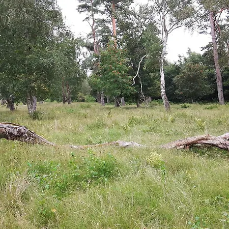 6 Person In Vaeggerlose-by Traum Prázdninový dům *